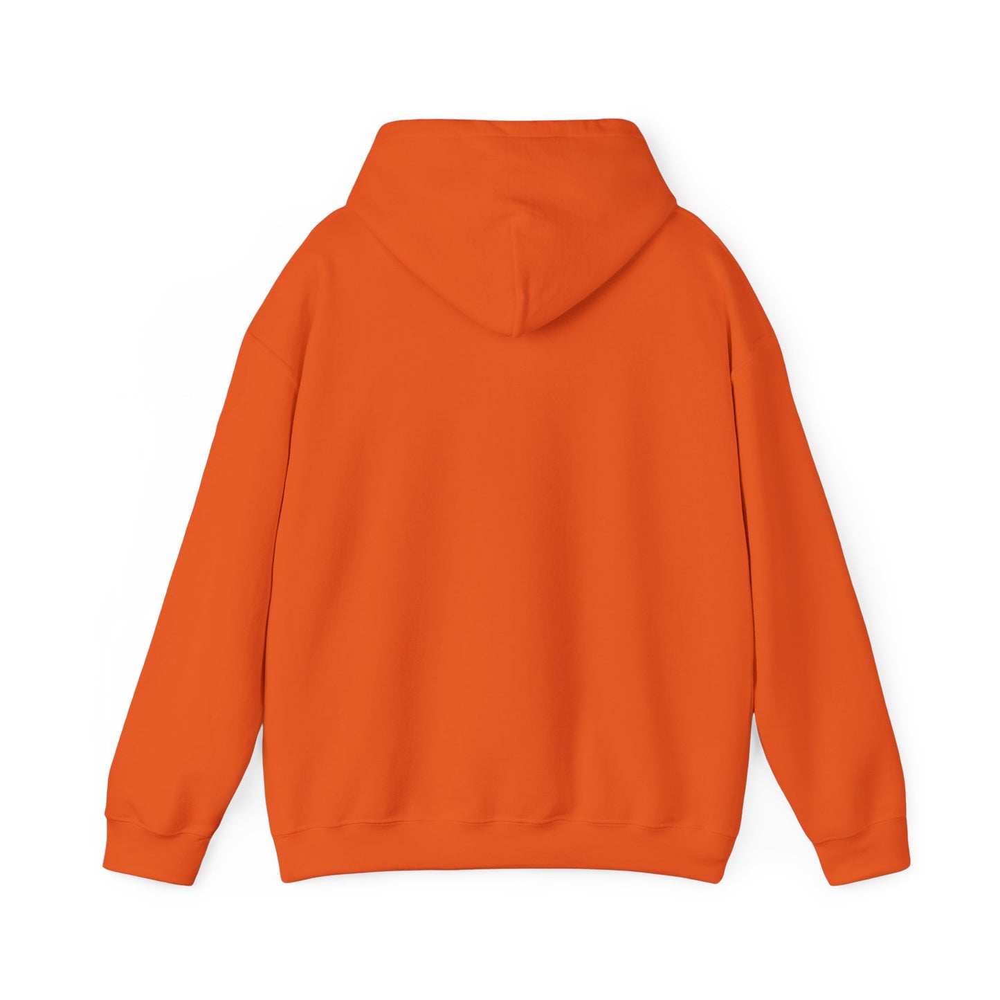 Second Chance University Unisex Hoodies - w/ Black Lettering